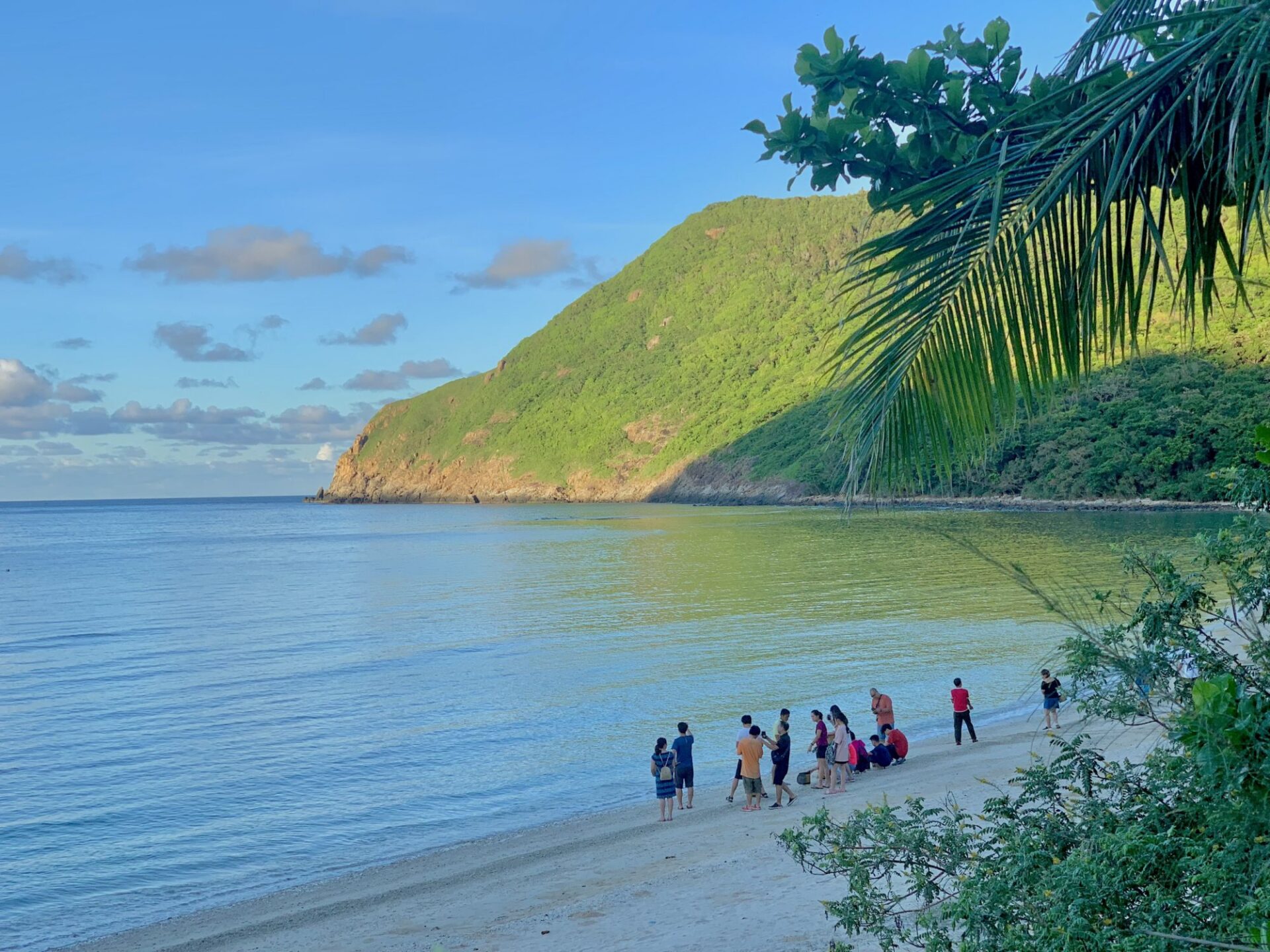 The Sacred Life Cycle - Green Sea Turtle of Bay Canh Island, Con Dao